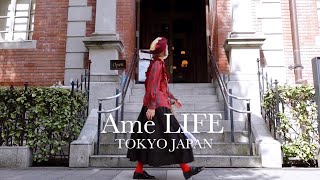 Autumn visit and holiday customs 🌾 ｜ Hello Autumn ｜ vlog｜SDGs