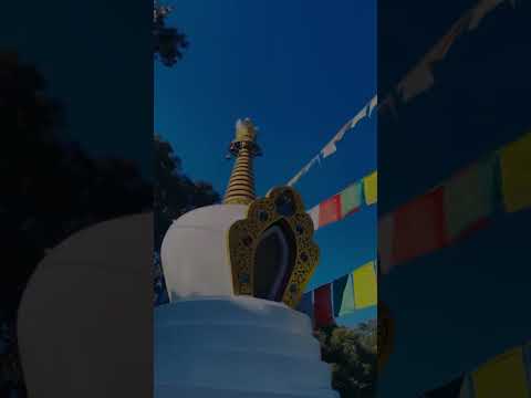 #MussoorieDiaries #LandourVibes #QueenOfHills #IncredibleIndia #MountainLovers #ytshorts #viralvideo