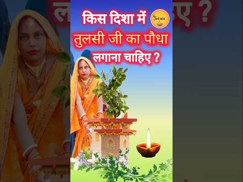 वास्तु के अनुसार तुलसी का पौधा किस दिशा में लगाना चाहिए? #shorts #astrokanya #ytshorts #tulsi #short