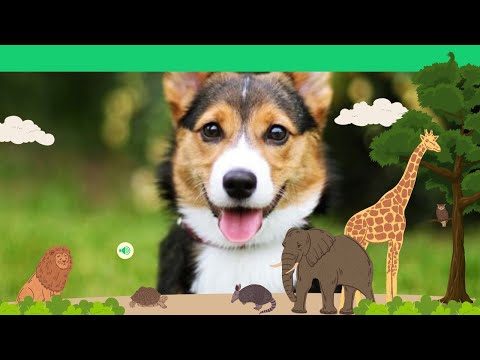 animal name for kids animal name in english  animal name in hindi and english  animal name 20