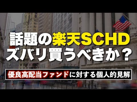 【驚異の増配率】最近話題の楽天SCHDは買いか？相性が良いのはどんな人か？