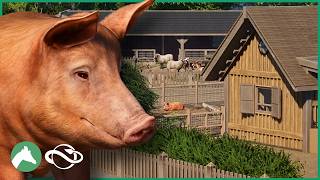 Building a PIG PEN in the Elm Hill City Zoo! | Planet Zoo