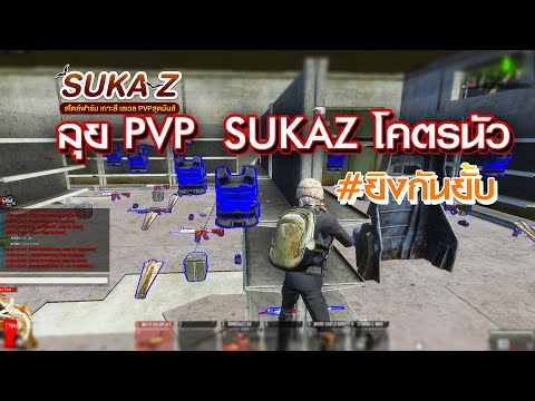 Warz Suka Z ลงยิง pvp นัวร์จัด บวกกันยั้บ