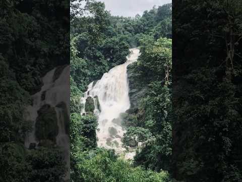 ഇടുക്കി 🌿 #travel #haze #nature #idukki #kerala #keralatourism #climate #waterfall