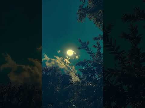 Lofi ❤️ smart song👌 Hindi short status #trending