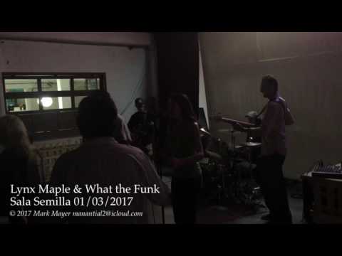 Lynx Maple & What the Funk at Sala Semilla 1/3/2017 — Play That Funky Music
