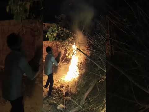 Holi dahen