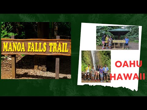 Hawaii vlog - Day1 - Part 3 - Manoa Falls Trail | #usamalayali #mallu #kerala #ukmalayali