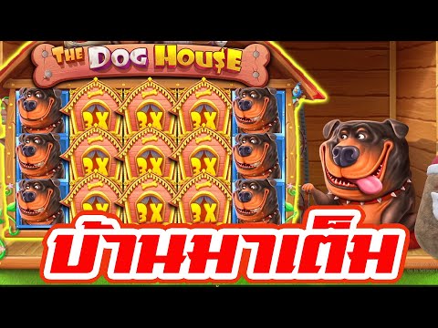 Siam66 : สล็อตPP The Dog House มาเต็ม!!!