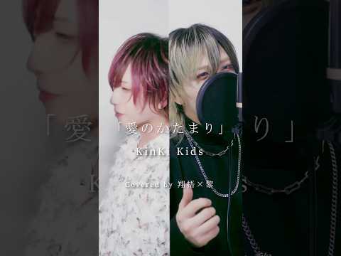 「愛のかたまり」ハモってみた　#愛のかたまり #KinKiKids #v系  #歌ってみた #cover
