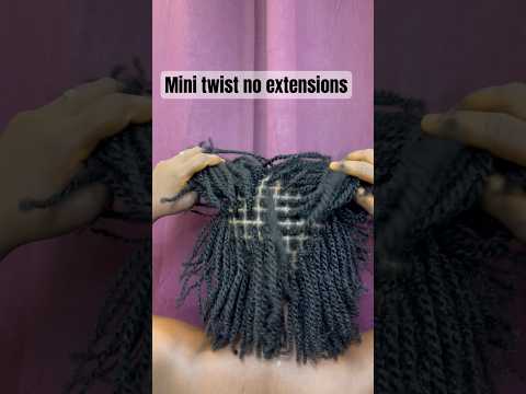 Mini twist no extensions #minitwists #protectivestyles #youtubeshorts #shortvideo #viral