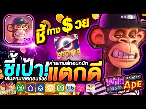 สล็อต สล็อตเว็บตรง สล็อตเว็บตรงแตกง่าย สล็อตวอเลท ฝากถอน ไม่มีขั้นต่ำ ล่าสุด 2025 l ชี้เป้าแตกดี!
