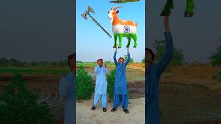 bakra lari bado badi 😆😁||#bakramandi #bakraeid2024 #badobadi #islamicvfx #dear