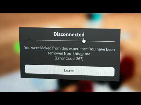 Sus Chewys Live Stream