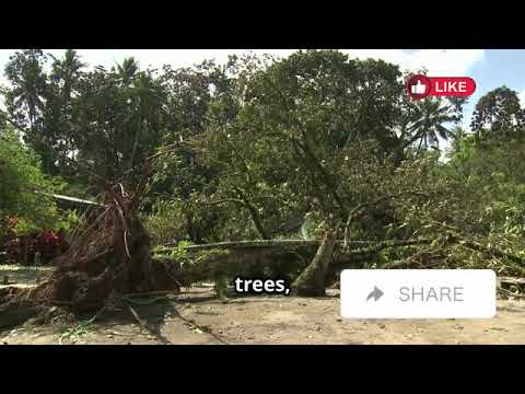 What Makes Hurricanes So Dangerous? Discover the Deadly Facts! | Avery Bliss