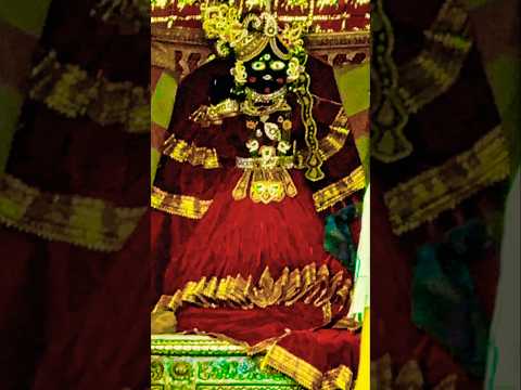 ⚜️श्रीबाँकेबिहारीजी की शयन-आरती के दर्शन||[20 फरवरी, 2025]⚜️🌺 #youtube#radha#laddugopal#bankebihari🌺