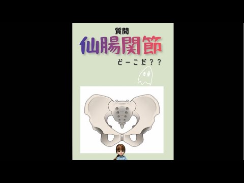 【仙腸関節】どーこだ？整形外科新人ナース のお勉強#看護師
