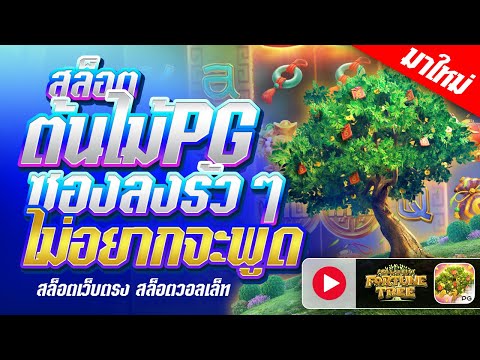 slot pg เว็บตรง2025 เว็บสล็อต เว็บตรง2025 สล็อตเว็บตรงแตกง่าย สล็อตแตกง่ายเว็บตรง เว็บสล็อต slot