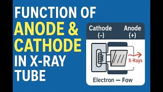 Understanding Anode & Cathode Function in X-Ray Tube | Radiology Tutorial