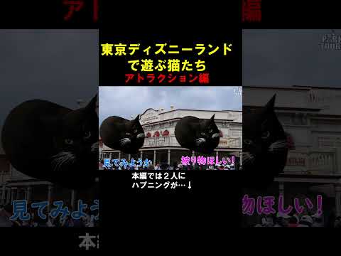 happy happy happy ベイマックス　#猫マニ  #猫ミーム  #ディズニー