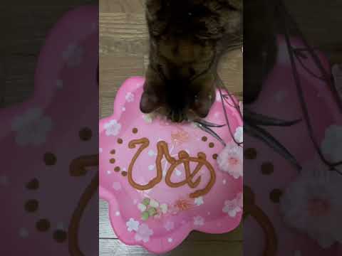 ミニー姫さまＢｉｒｔｈｄａｙ- ̗̀ 🎂  ̖́-