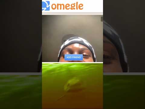 Omegle SHARK Jumpscare Prank 😂🦈 #shorts