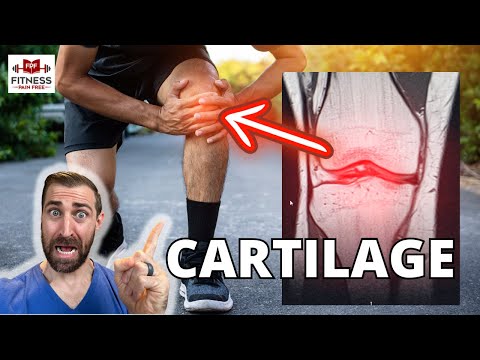 Cartilage Injuries - Physical Therapists NEED to Know