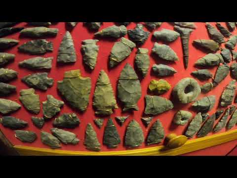 Ancient Artifact Hunting/ Duck Rescue / Amazing Private Collection
