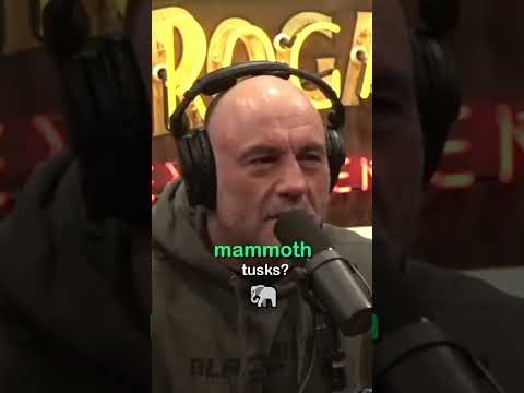 10 000 DEAD Mammoths found by ACCIDENT😮 #shorts #joerogan