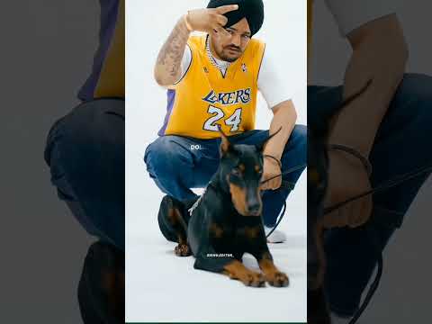 Dollar Sidhu Moose Wala Full Screen | Sidhu Moose Wala | Dollar official @SidhuMooseWalaOfficial