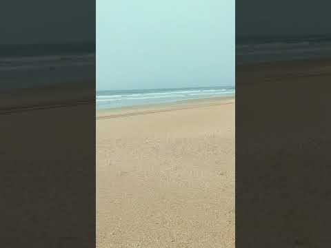 goa vibe...😍