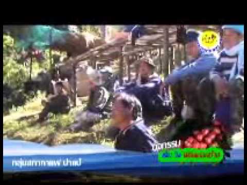 เดินวื่งพิชิตดอยช้างลำพูน ตอน2.wmv