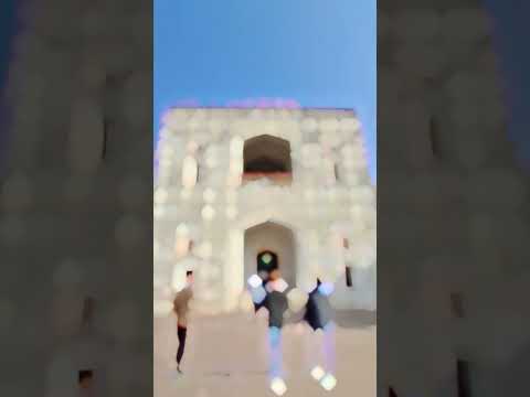 Humayun's Tomb❤️. #delhinews #delhidiaries #viralvideo #trendingvideo #trending #shortsfeed