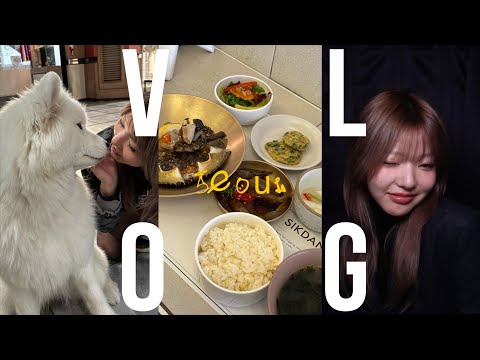 爆買い爆食い韓国旅行VLOG👢🍲