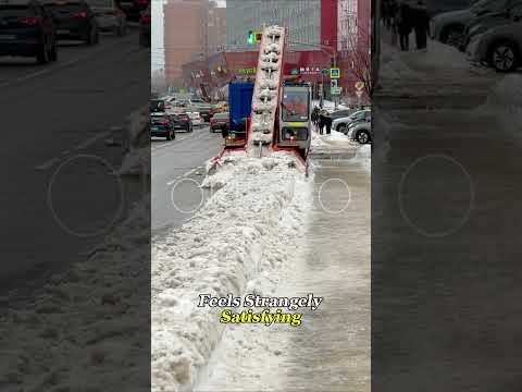 Snowplow or Giant Crab?#Snowplow #OddlySatisfying #WinterTech #Knowledge