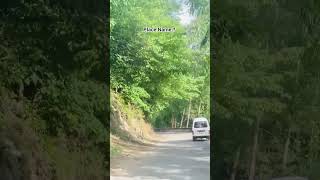 Place Name? #mansehracity #mansehra #beautiful #viralshots