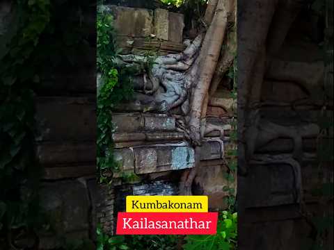 Divine Vibes at Kailasanathar Temple, Kumbakonam! 🛕✨ #Kumbakonam #KailasanatharTemple #ShivaTemple