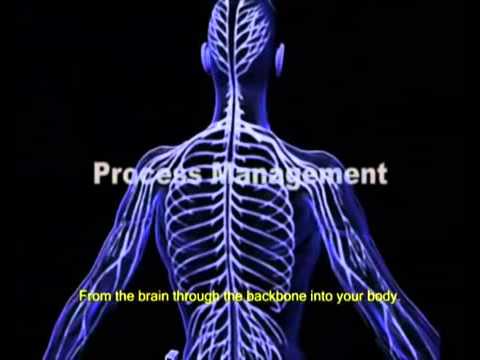 The Body Of Information