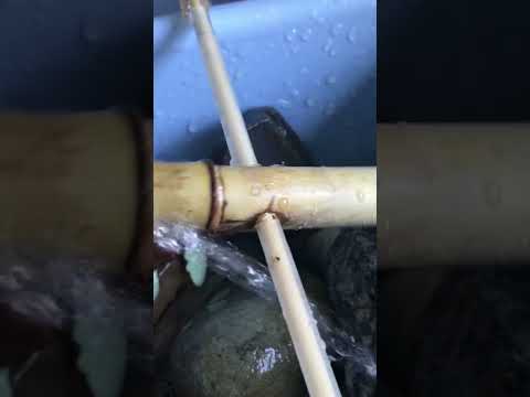 Homemade bamboo water fountain