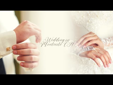 Make Your Wedding Unforgettable with Gelato Go Catering!
