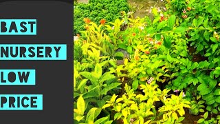 Bast Nursery🪴🌿 In Kolkata @Rishra, Hooghly