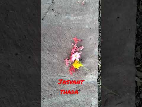 In Jodhpur, Jasvant thada,  at 24 October, and Happy Diwali to all.
