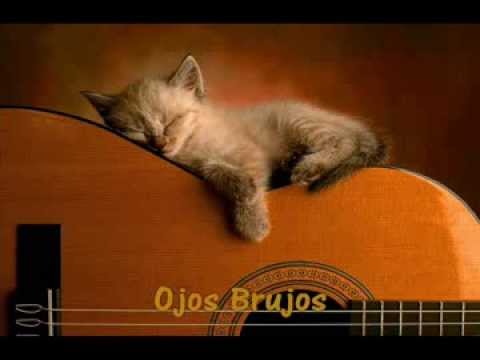 Ricardo Cobo: Guitar Lullaby (Tarrega, Assad, Barrios, Brouwer)
