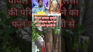 पीपल आंवला तुलसी की परिक्रमा का फल #pandit_pradeep_ji_mishra  #upay #katha #shiv #shorts @sairadha