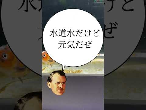 初心者さん向けカルキ抜き剤のお話です#アクアリウム#メダカ#長野