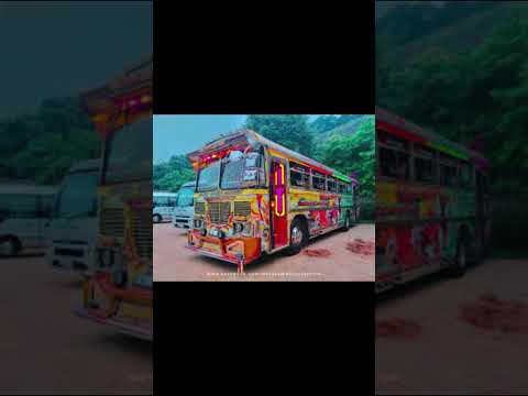 හීන සිත්තරී vs මායාකාරී💛❤️💚🩷 ❤️ | #automobile #srilanka #love #bus #dhamrajini  #dj #buses #duet |
