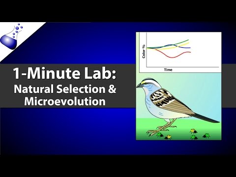 Natural Selection and Microevolution
