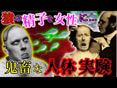 封印された闇の人体実験【ゆっくり解説】