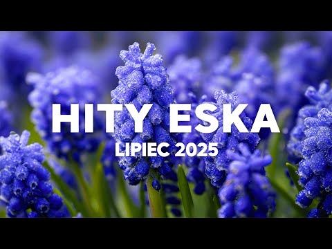 Eska Hity Lipiec 2025 * Najnowsze Przeboje z Radia Eska 2025 * Najlepsza radiowa muzyka 2025 #2