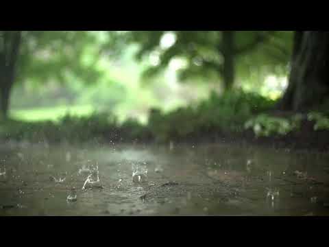 Rain Slow Motion . 24/7 Relaxing Rain Sounds | Relax Music Point |